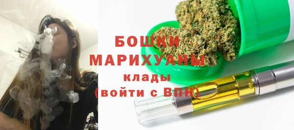 тгк Гусиноозёрск