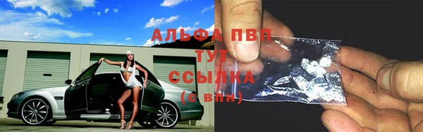 прущий лед Гусев