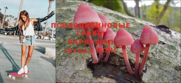 тгк Гусиноозёрск