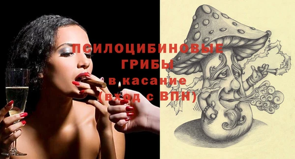 прущий лед Гусев