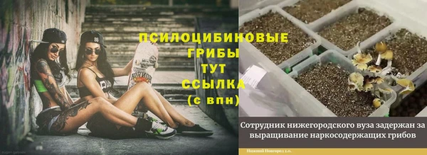 mdpv Гусь-Хрустальный